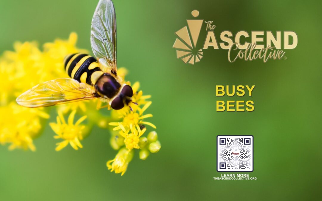 Busy Bees