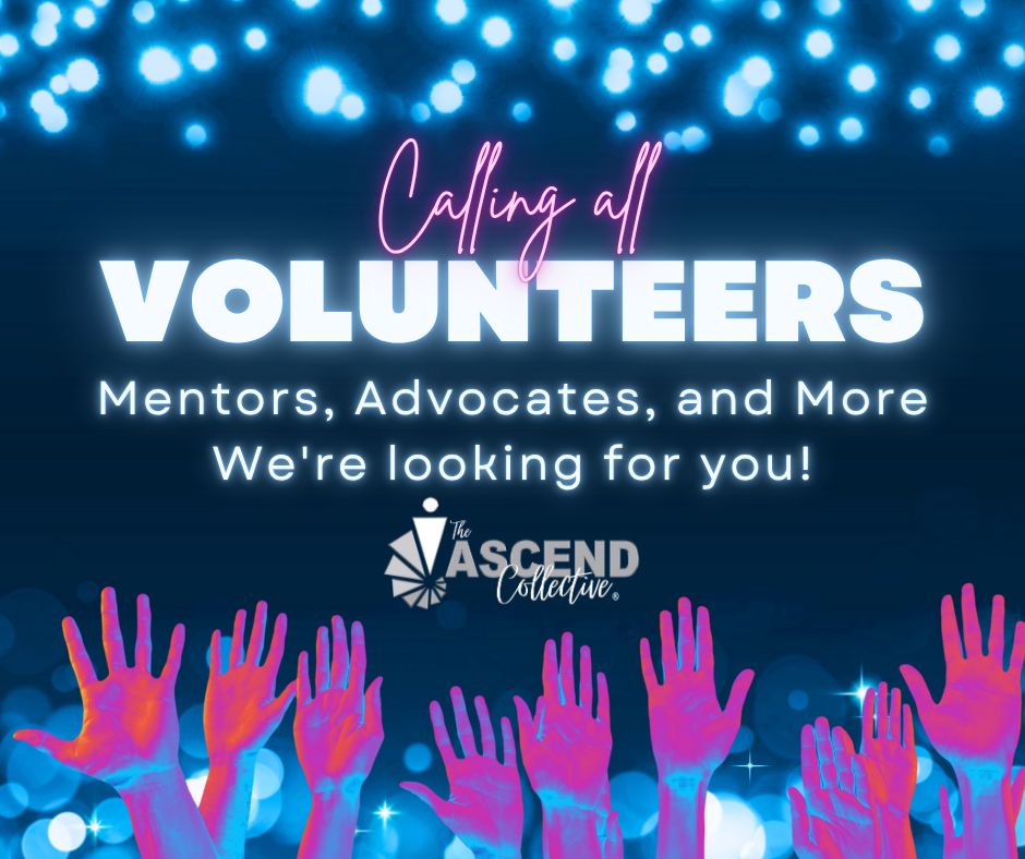 TAC Volunteer Search